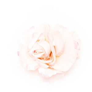 Us Angels Hairpin Women Pink
